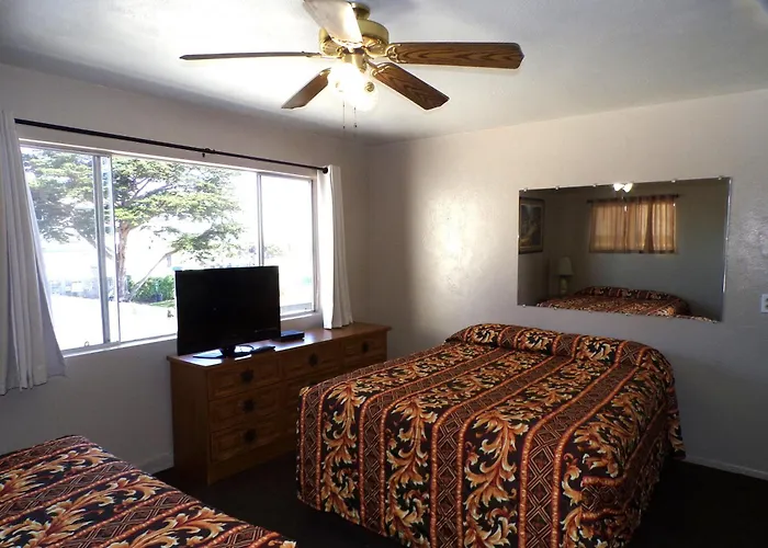 Cypress Tree Motel