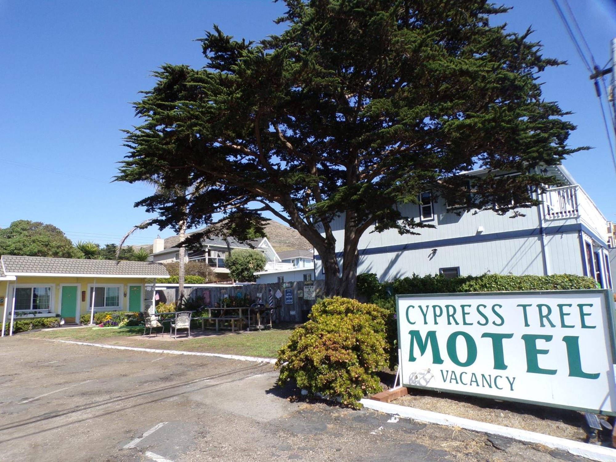 Motel Cypress Tree *