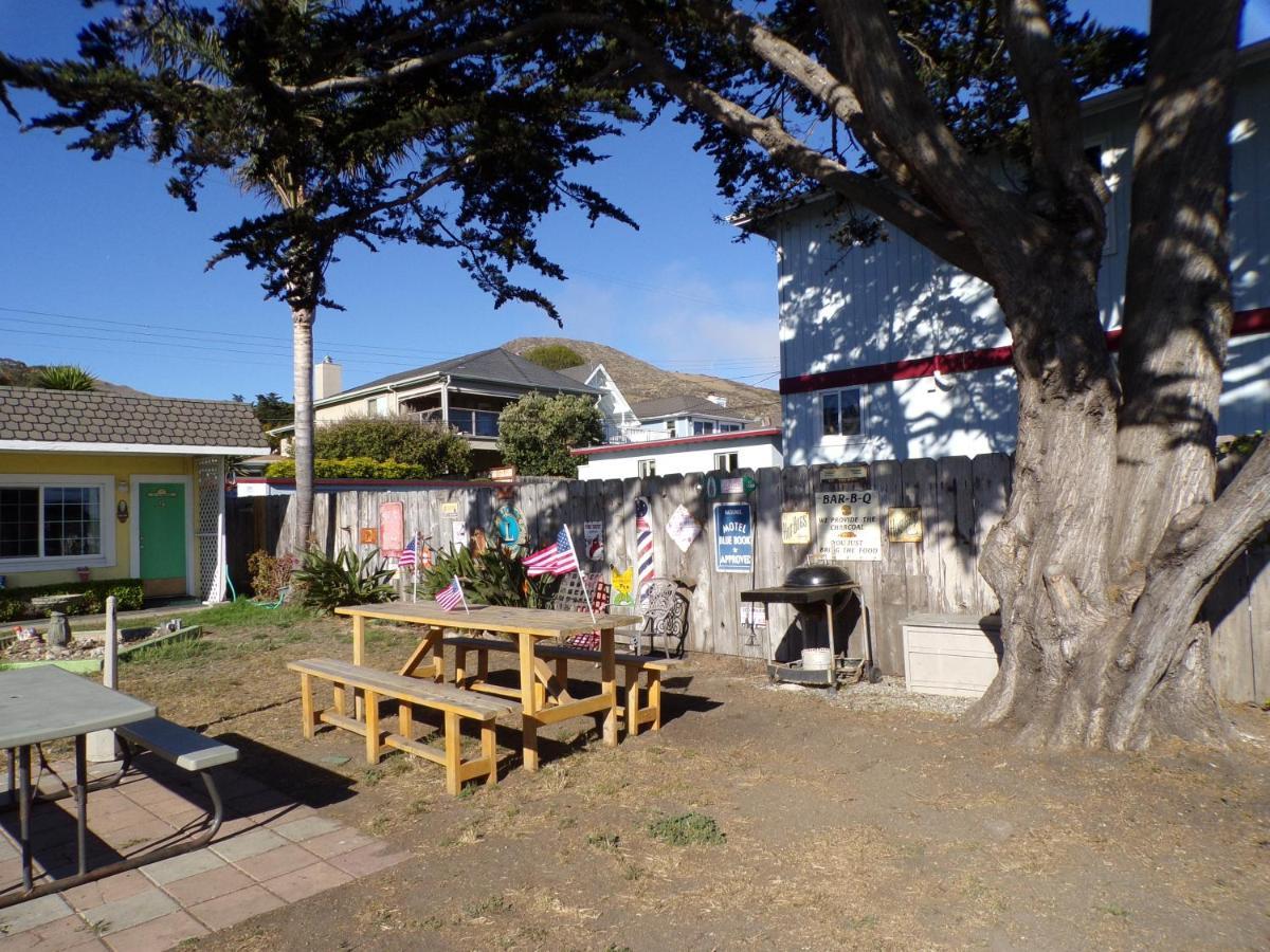 Cypress Tree Cayucos