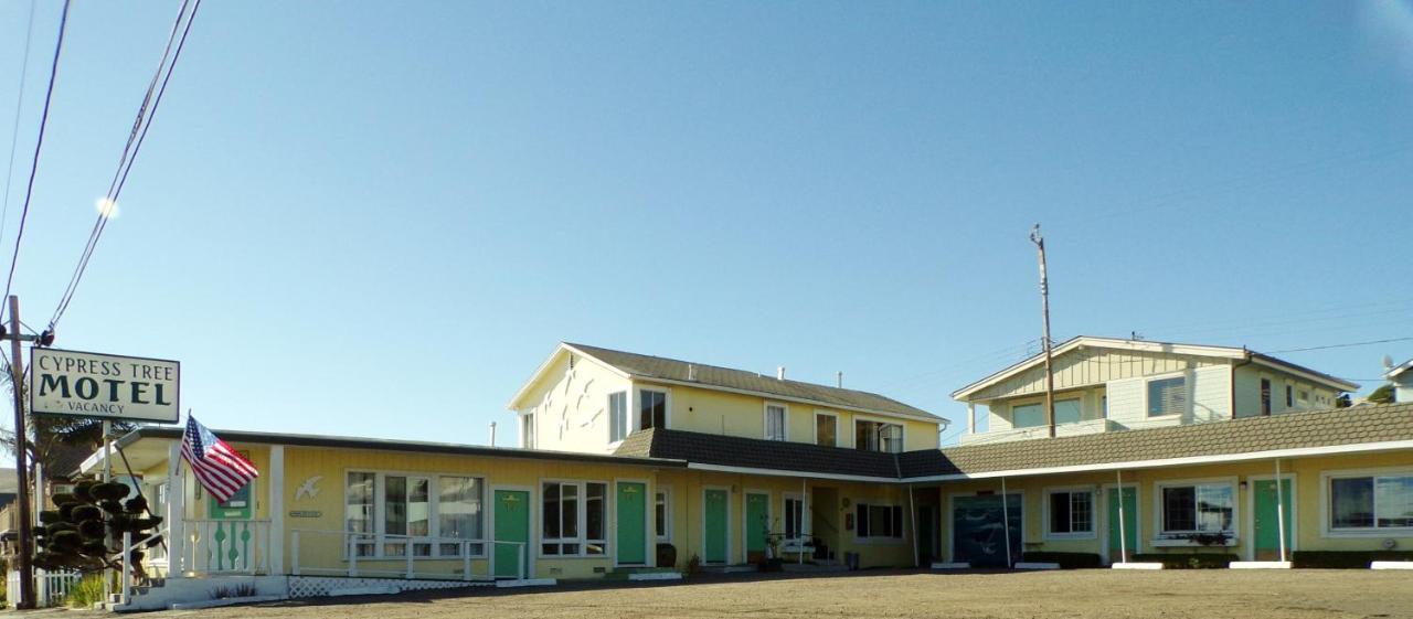 Motel Cypress Tree *